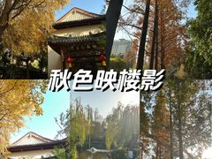 -郑和公园
