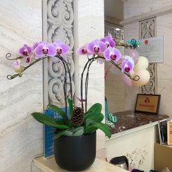 店内环境-大连美天医疗美容医院