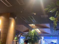 -同仁四季椰子鸡(宝安壹方城店)