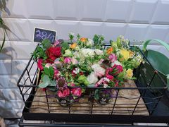 -植物学家的女儿(北马道巷店)