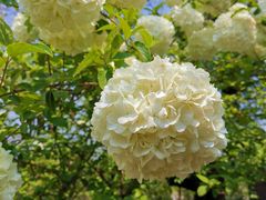 -南通洲际绿博园