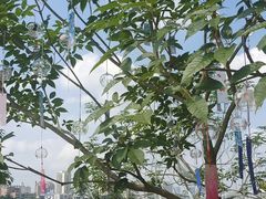 -南宁南湖公园
