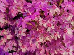 -昆嵛山石门里景区