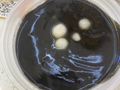 -满记甜品(南京虹悦城三店)