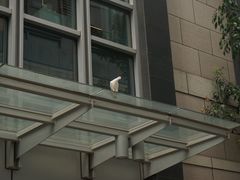 -中粮·祥云小镇