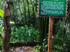 -呀诺达热带雨林