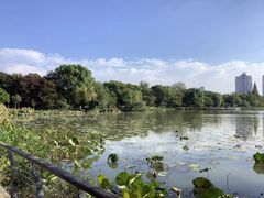 -南通濠河风景名胜区