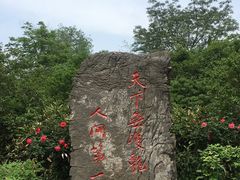 -洛阳市牡丹公园