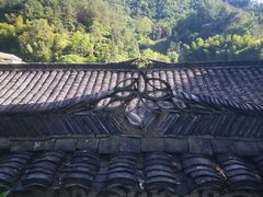 -杨家堂村