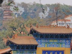 -宝通禅寺