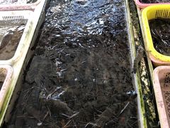 -南沙十九涌渔人码头-南门