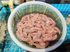 -渡海小渔村.老辈日照菜