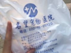 -瑞派名望24h动物医院异宠专科·猫专科·骨科·重症监护分院