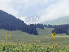 -新疆那拉提国家旅游度假区