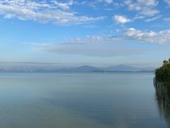 -深圳湾公园(南山区)