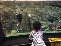 -成都浩海立方海洋公园