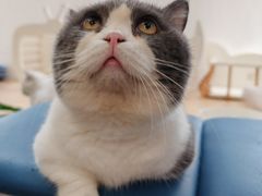 -1013 PET SHOP 宠物商店(近铁城市广场店)