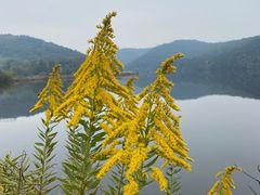 -南京市无想山景区