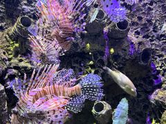 -太平洋海底世界