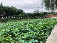 -鼎盛蜀坊·重庆江湖菜(市桥地铁站店)