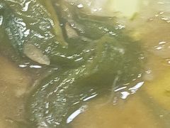 -东莞楼农家菜(金海湾大道分店)