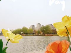 -九里河湿地公园