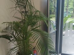 -刘健艺术钢琴学校·专注钢琴教育25周年(徐家汇校区)