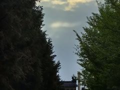 -北京西山国家森林公园