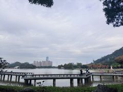 -顺峰山公园