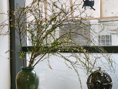-猫里有甜