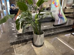 -克拉斯家居旗舰店