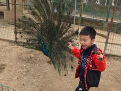 景点-武汉紫薇都市田园