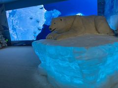 -海合安武汉极地海洋公园