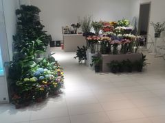 -新田360广场(许昌亨源通店)