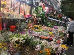 -宝鸡东道花鸟鱼虫市场(吉利花园商场店)