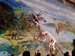 -自贡恐龙博物馆