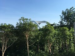 -南汇新场正宗水蜜桃采摘