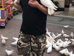 -王府井奥莱临潼小镇(临潼店)