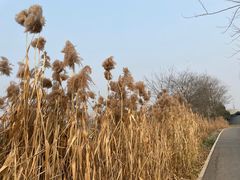 -中国天府农业博览园