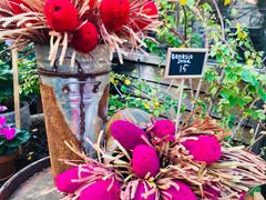 -The Grounds of Alexandria