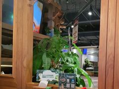 -云海肴·汽锅鸡·云南菜(天山百盛优客店)