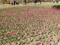 -长春公园(普阳街道)