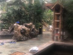 -龙达温泉生态城