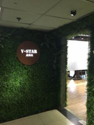 -V-STAR威斯达•高级私人定制
