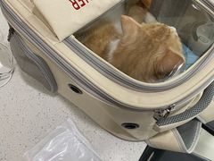 -思琪宠物医院(昆山花桥店)