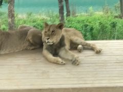 -太原动物园