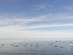 -青海湖二郎剑景区