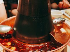 -东镇老火锅(长春路首店)