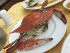 海岛渔村大酒店-海岛渔村大酒店(云霄路店)