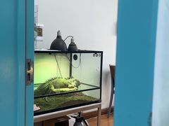 -北京观赏动物医院·24小时大型综合·猫专科·异宠专科